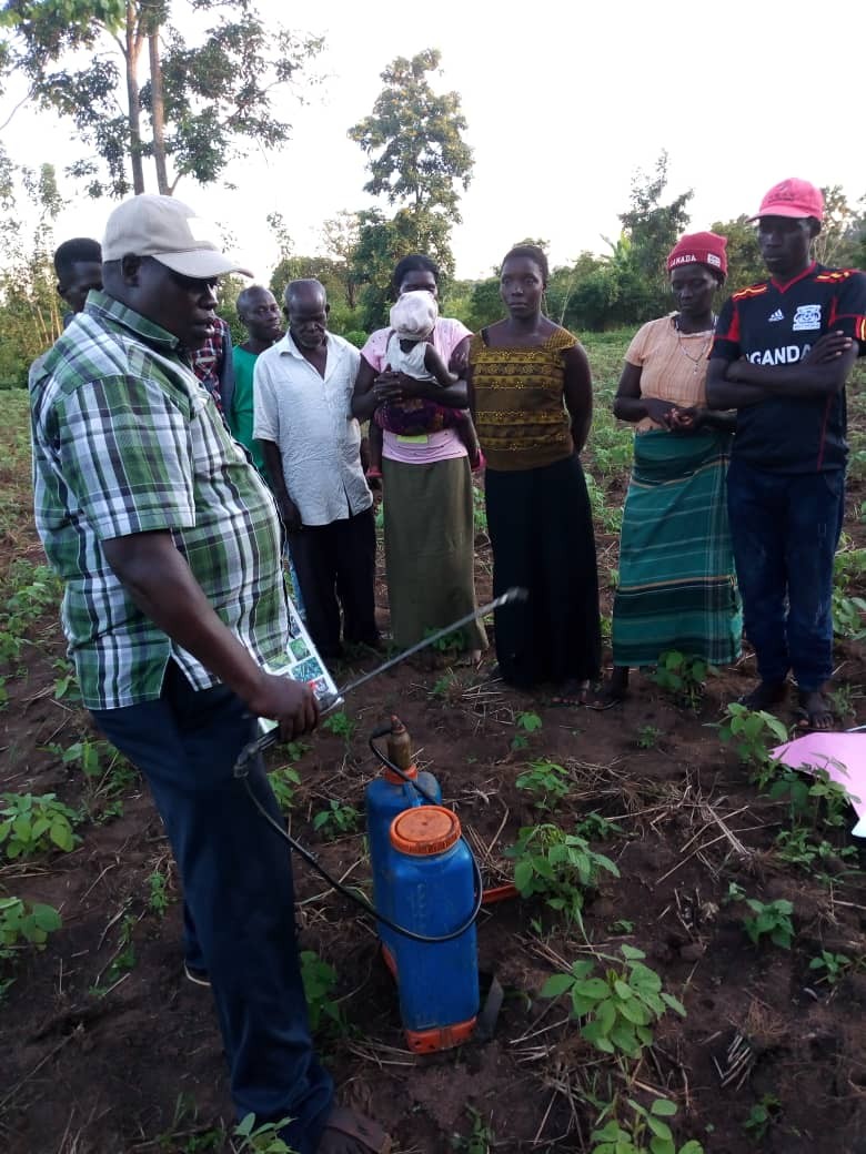 Yellow Star farmer training program